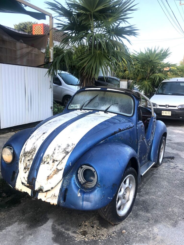 Older VW Bugs, Beetles and Vocho's in Puerto Morelos
