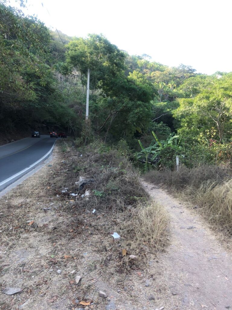 Shortcut Through the Jungle To Los Ayala