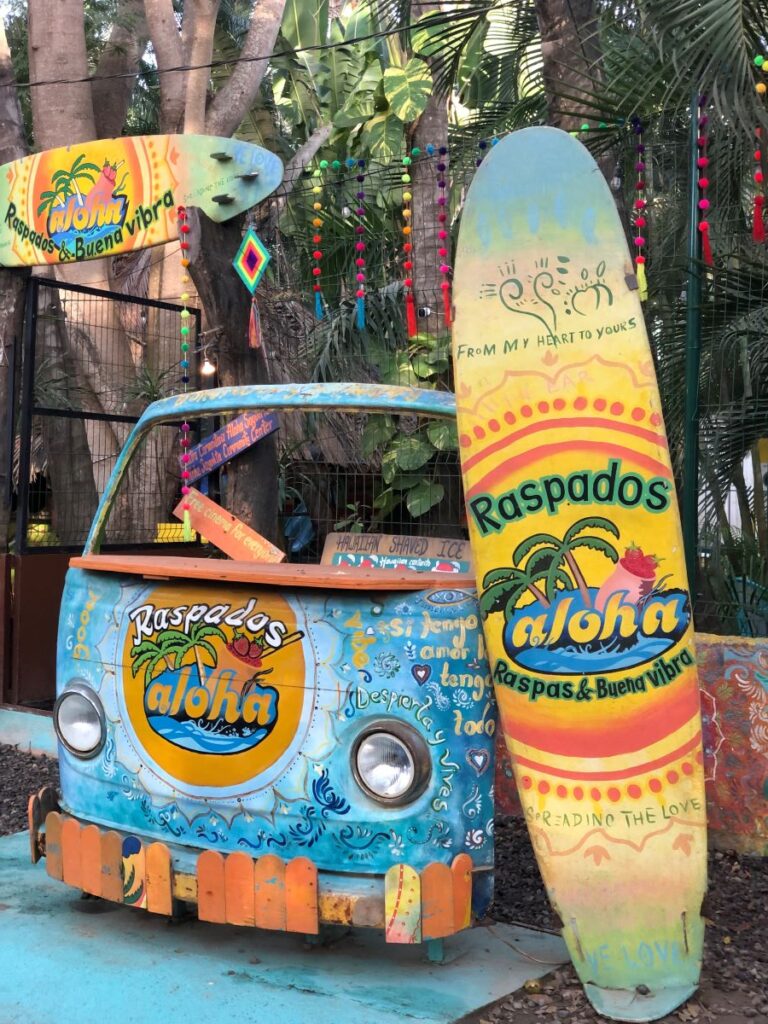 VW Bugs & Buses, The Best Rides in Sayulita
