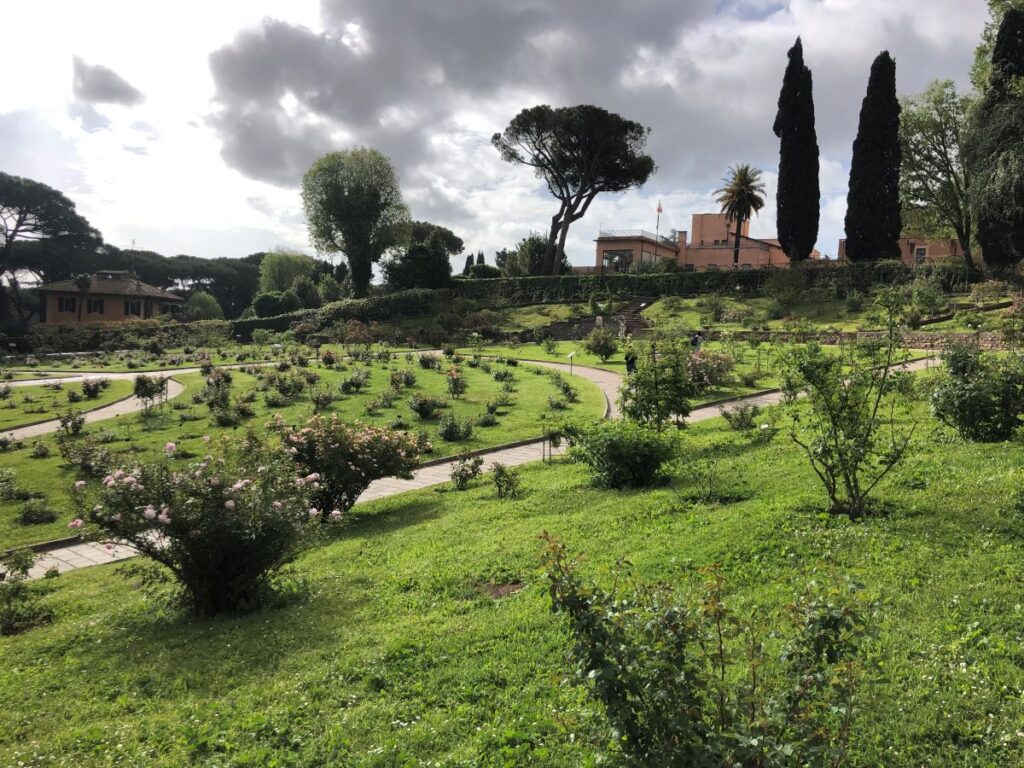 The Free Rose Garden in Rome
