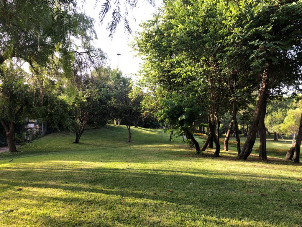 Ataturk Kultur Park an Oasis