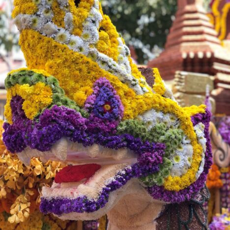 The Spectacular Chiang Mai Flower Festival