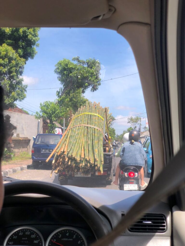 The Adventures of Riding Grab Around Bali
