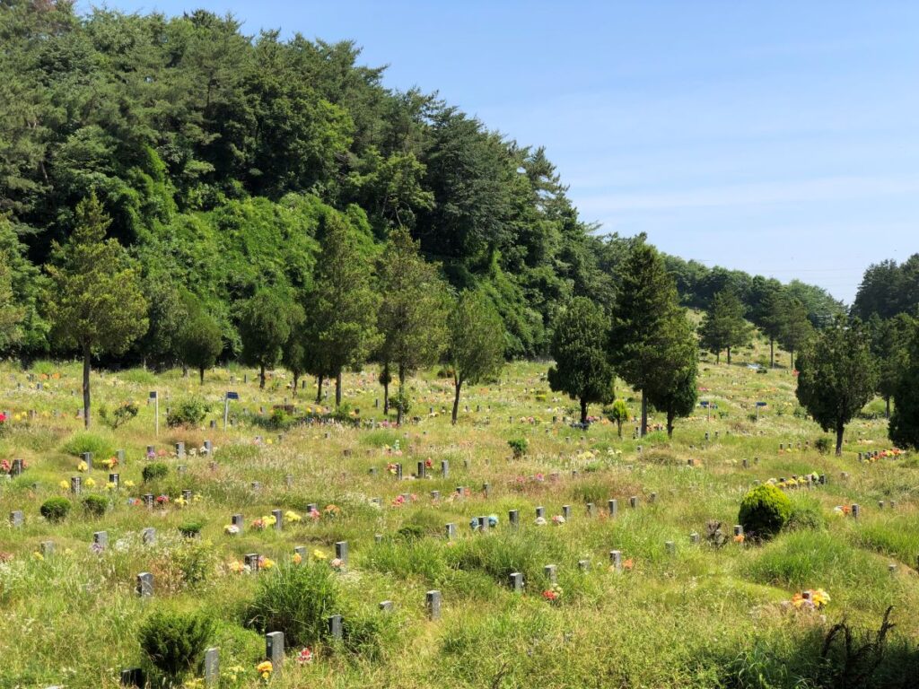 The Idyllic Yeongnak Park Cemetery in Busan
