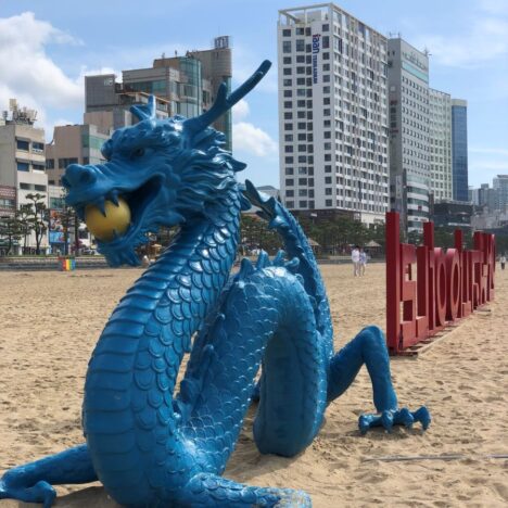 The Unique & Fascinating Jagalchi Fish Market in Busan