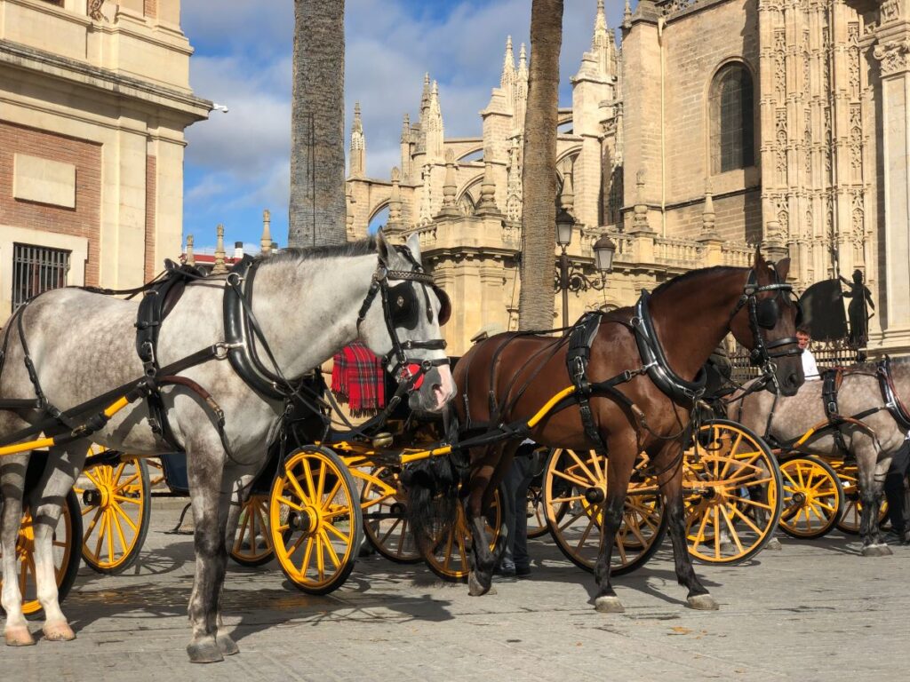 5 Free Things to Do in Seville

