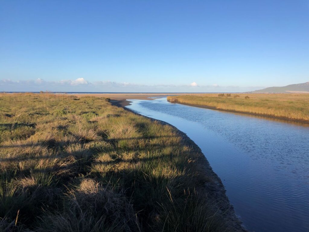 Beautiful Estuary Hike in Tarifa
