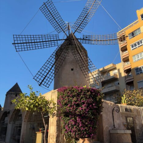 Exploring Vibrant and Quirky Santa Catalina in Palma