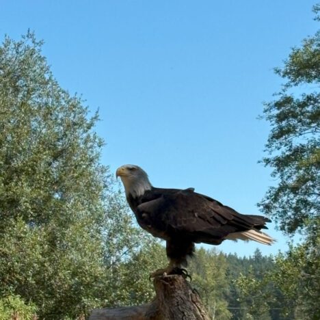 Come See the Trans Canada Trail at Cowichan