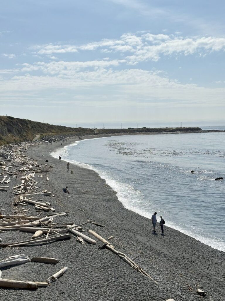 Dallas Road Victoria & its Beautiful Beaches
