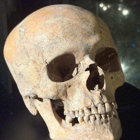 Bit Pazar is the Best Market in Skopje