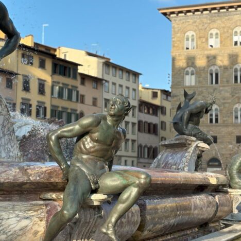 Travel Day Skopje to Florence on Austrian