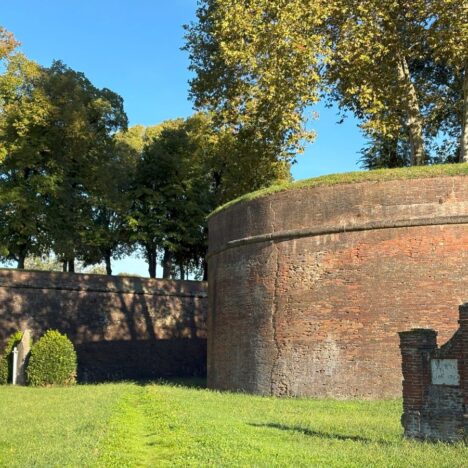 The Big Beautiful Beach at Viareggio Italy