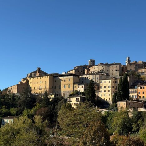 The Best Montepulciano Wine Tasting & Cellars