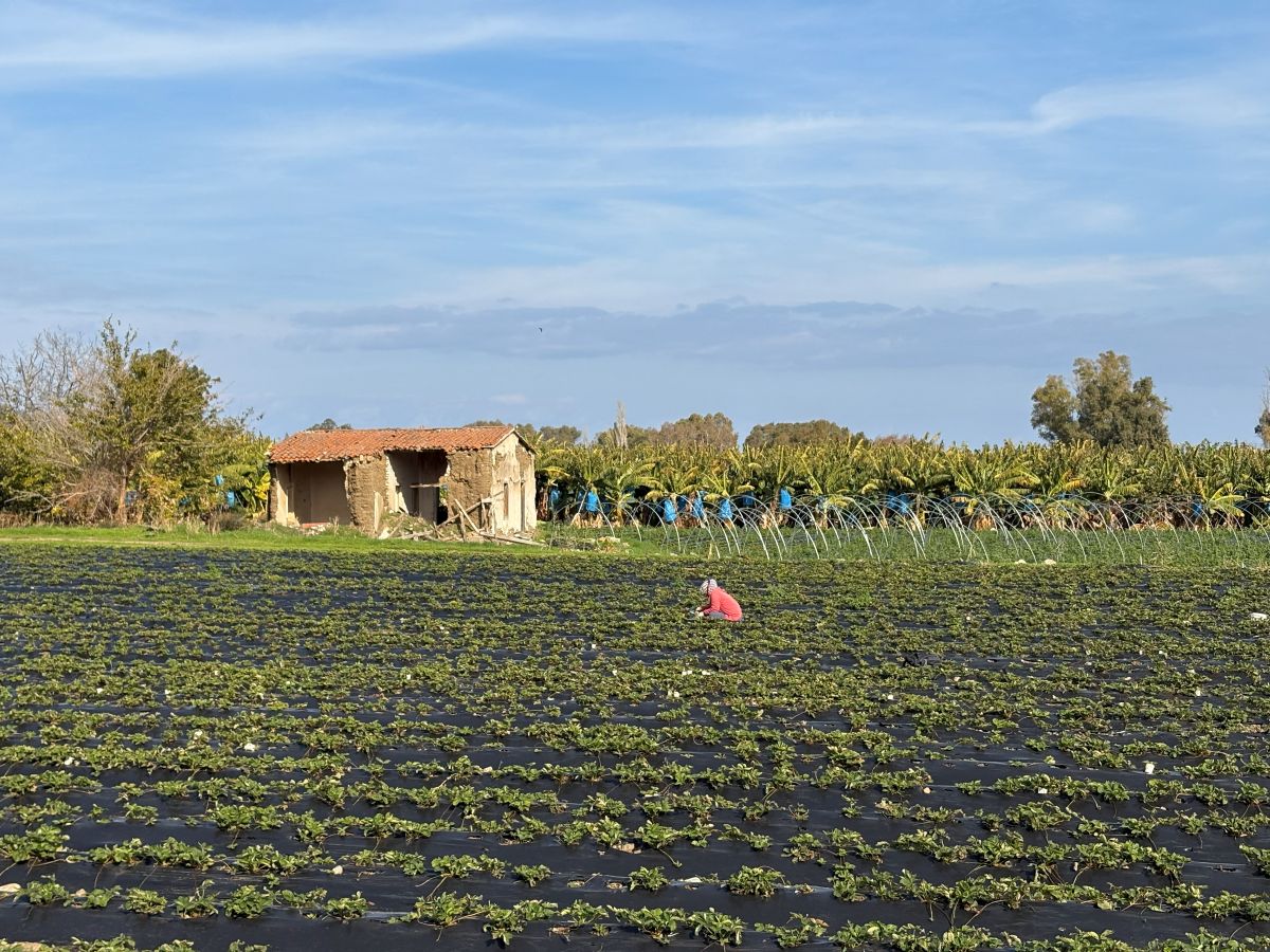 Amazing Visit to the Remote Village of Yesilirmak in North Cyprus
