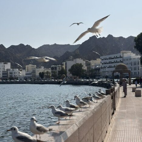 The Amazing Mutrah Souq, Gold & Fish Markets