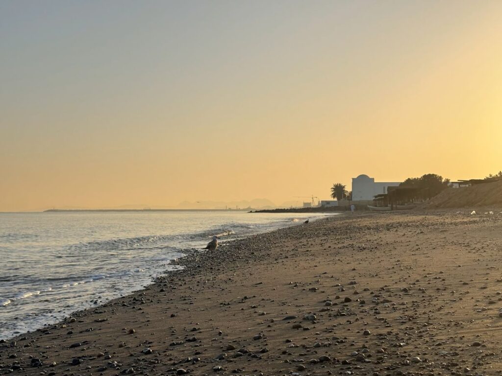 Three of the Best Beaches in Muscat Oman

