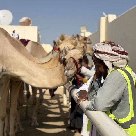 Beautiful Katara Cultural Village & Beach in Doha