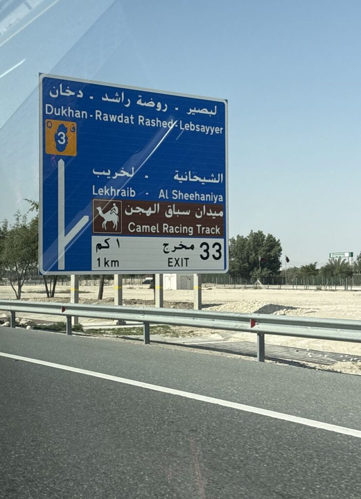 Camel Races in Doha
