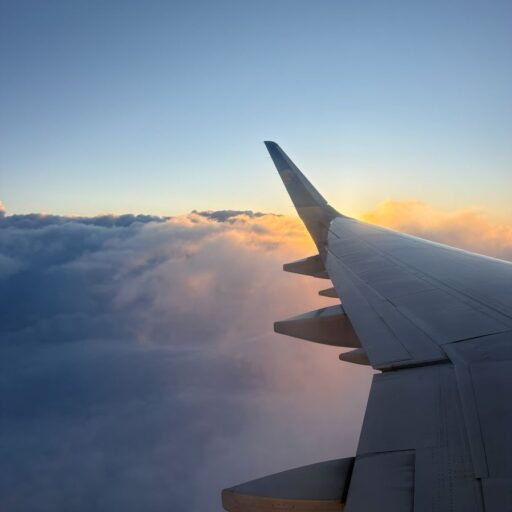 Walking the Streets & Being Safe in Ubud - lyfe abroad Avatar