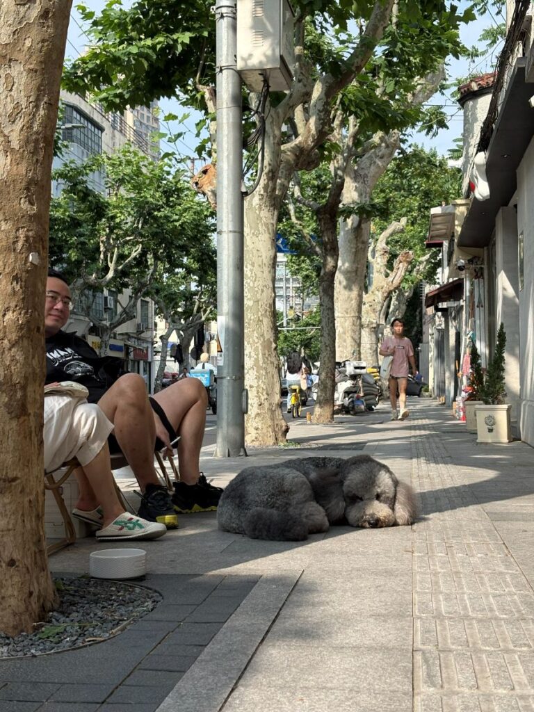 French Concession