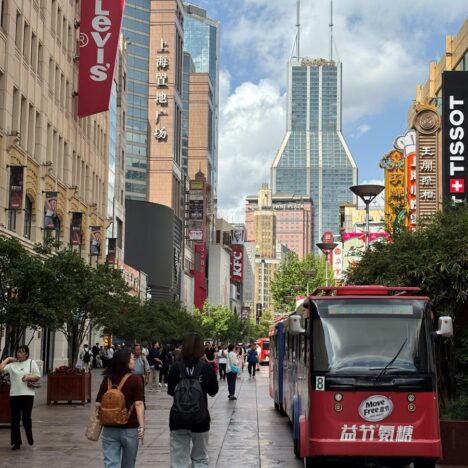Beautiful Yuyuan Old Street and the Magic Within