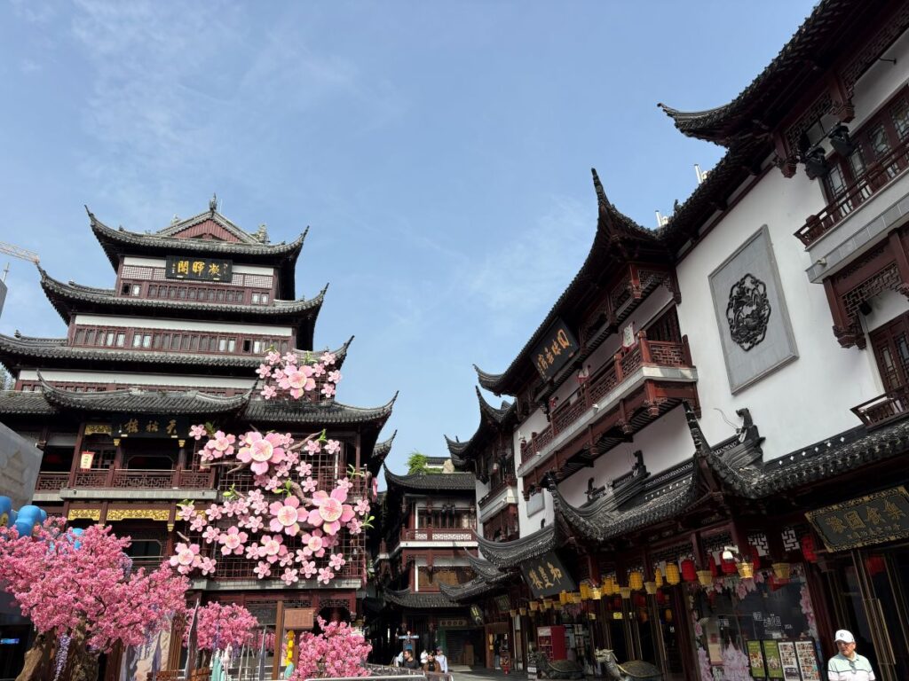 Beautiful Yuyuan Old Street and the Magic Within
