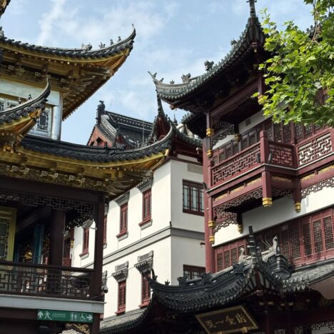 Ooo the Romantic French Concession in Shanghai