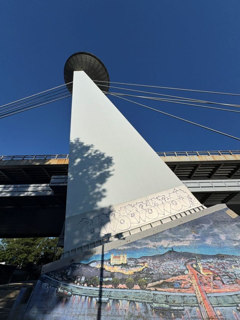 UFO SNP bridge
