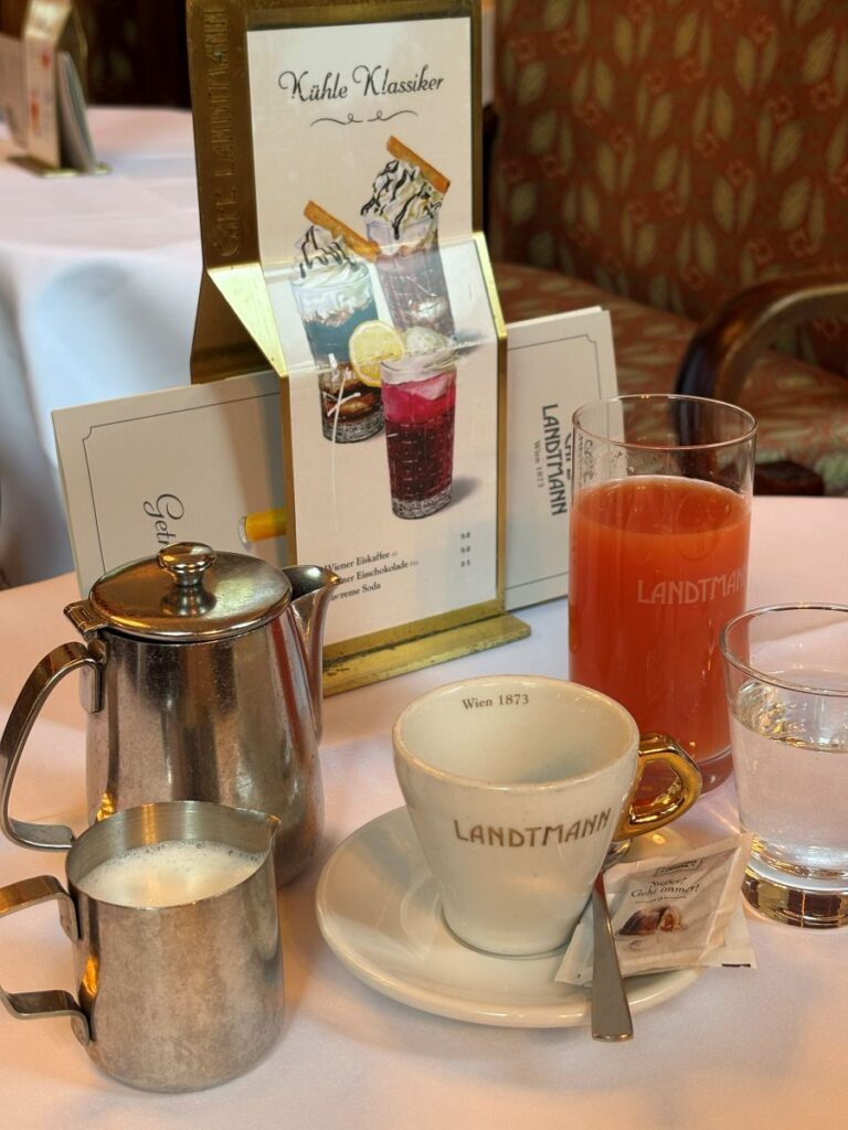 Day in Vienna