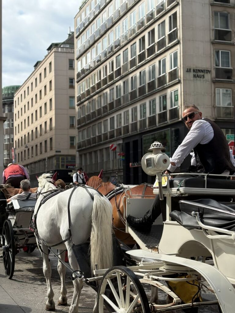 Day in Vienna