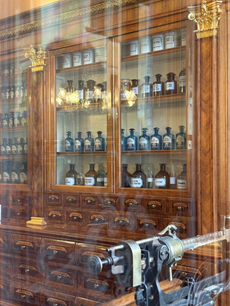 Pharmacy Salvator
