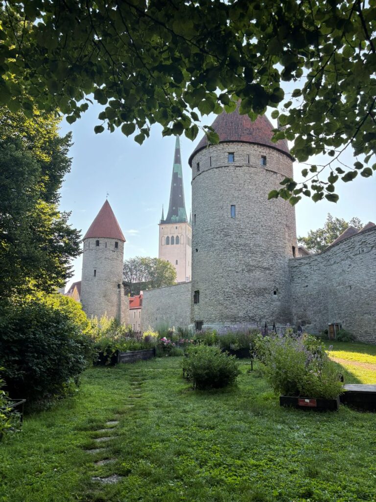 Medieval Tallinn