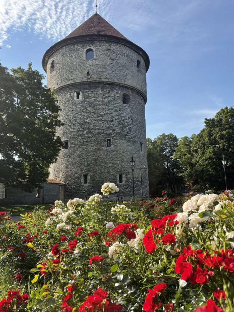 Medieval Tallinn