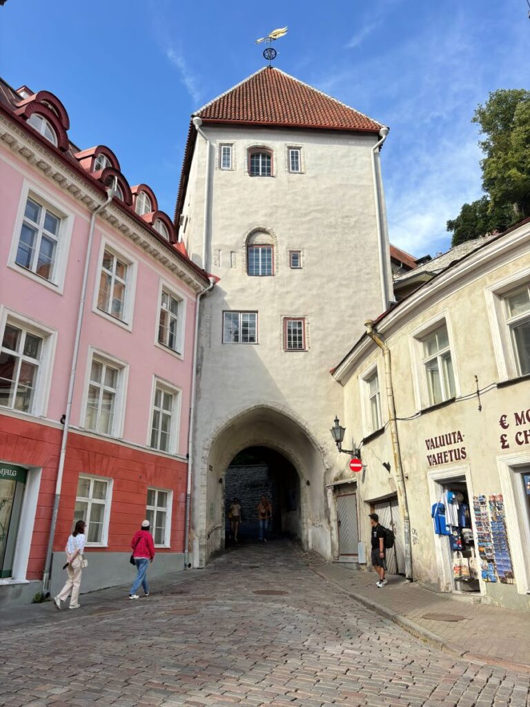 Long Leg Gate