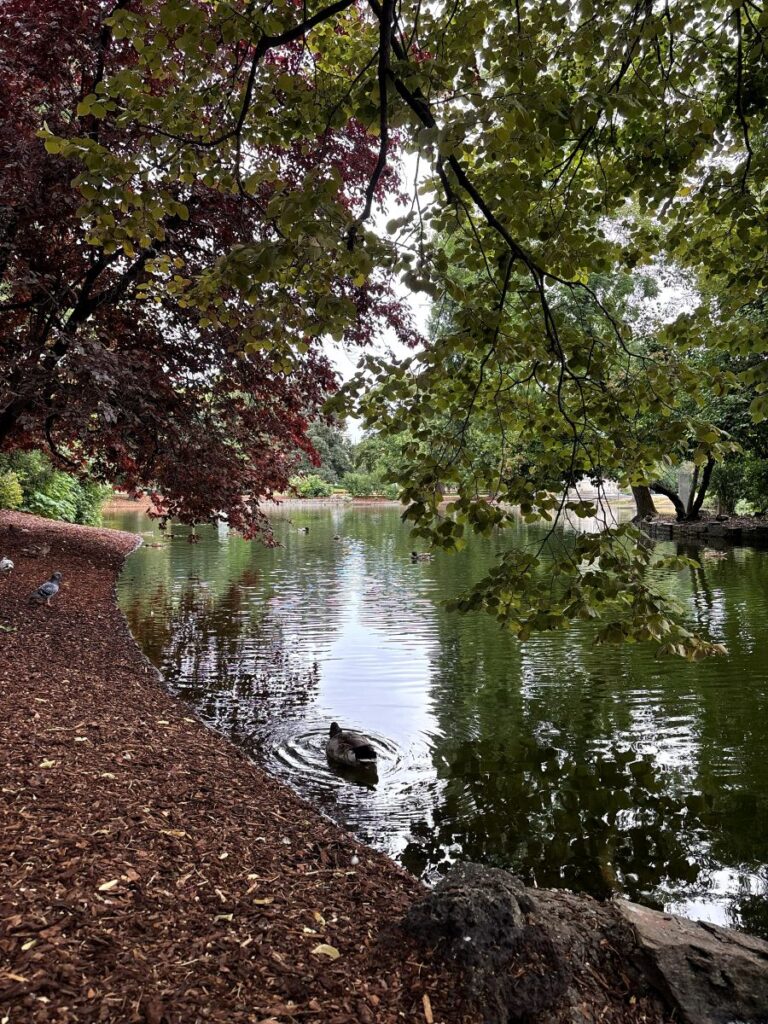 Stadtpark