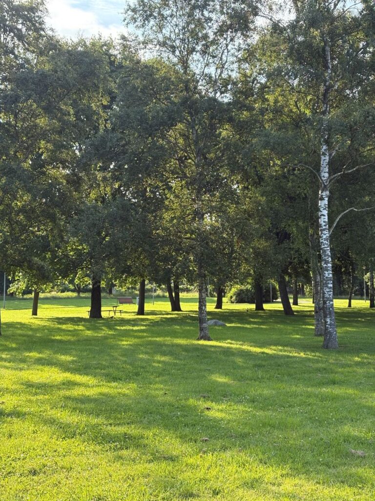 Park