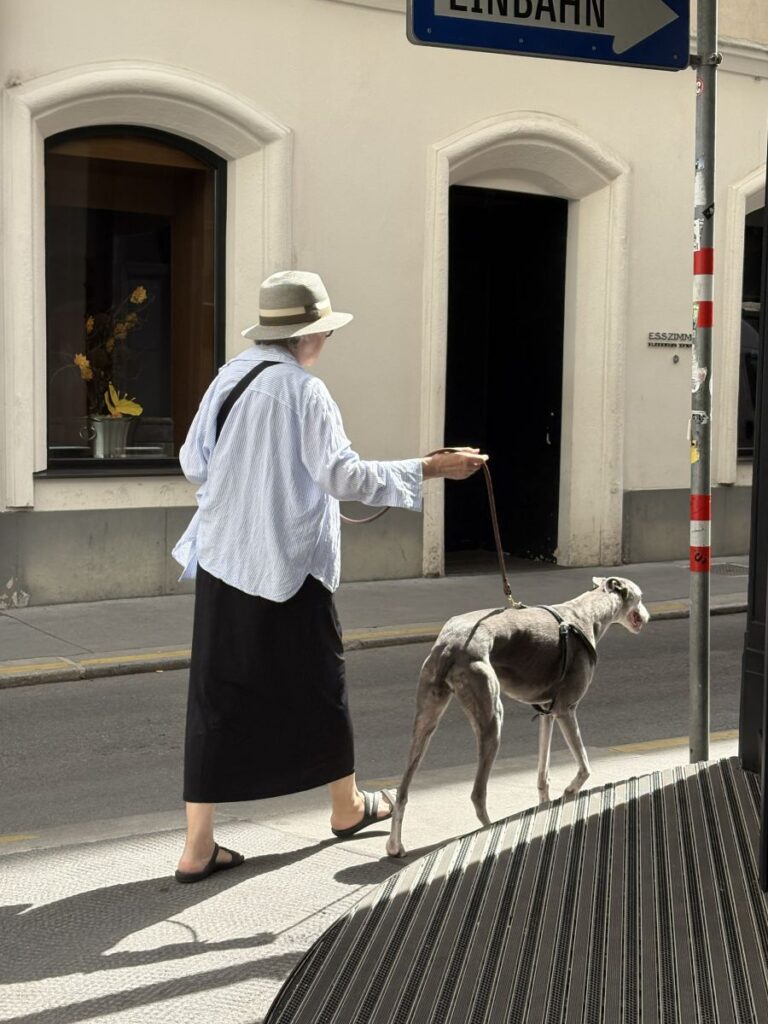 Day in Vienna