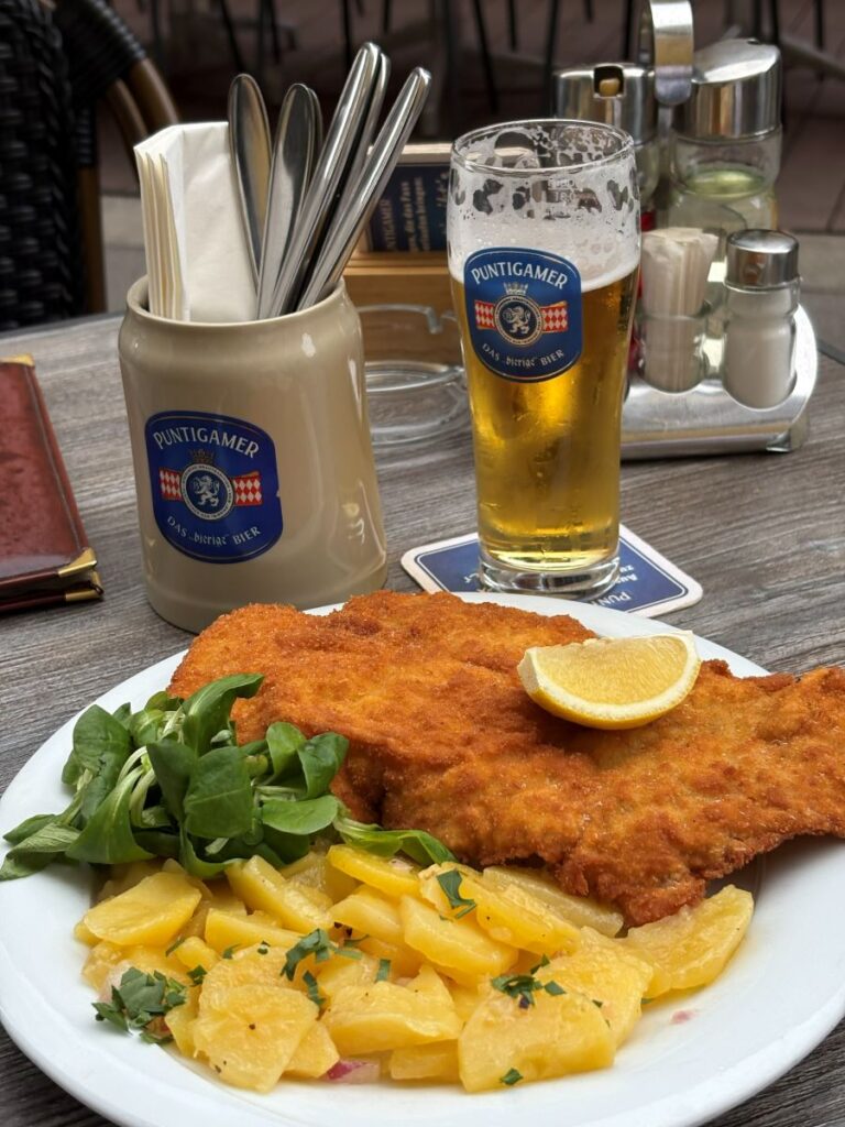 Day in Vienna