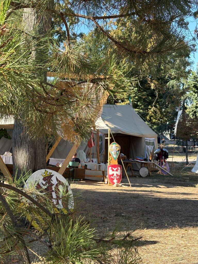 Medieval fair