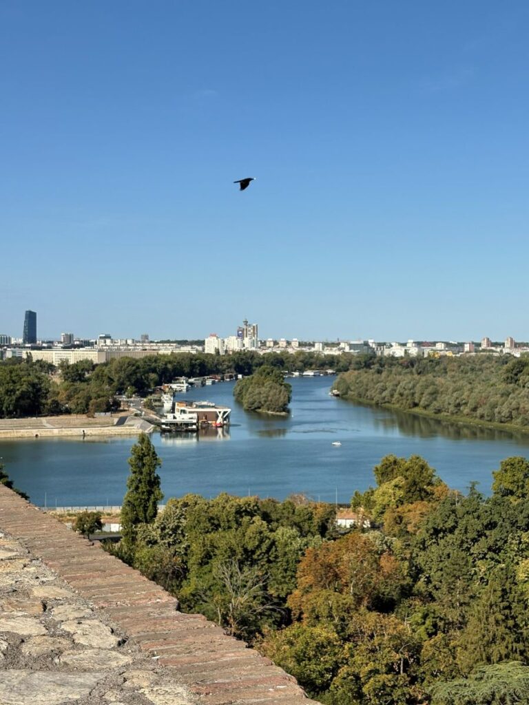 Sava and danube