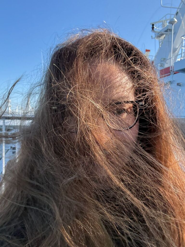 Viking or Tallink