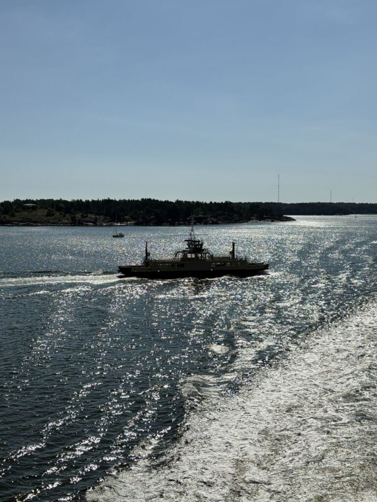 Viking or Tallink