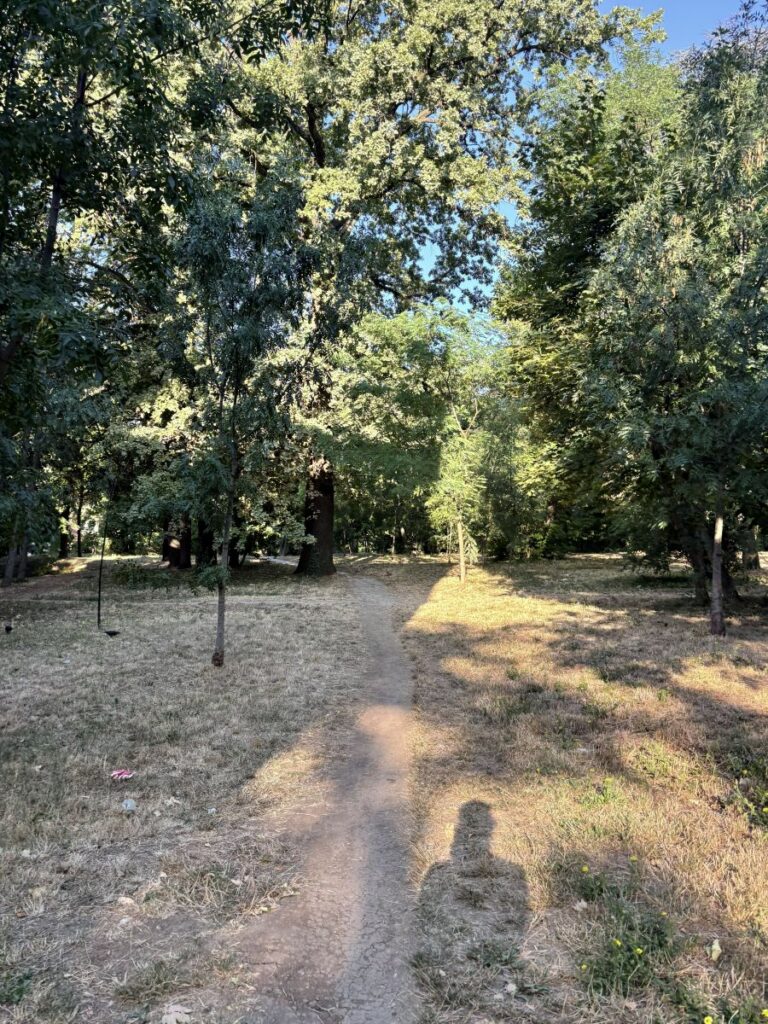 Impressions of Belgrade